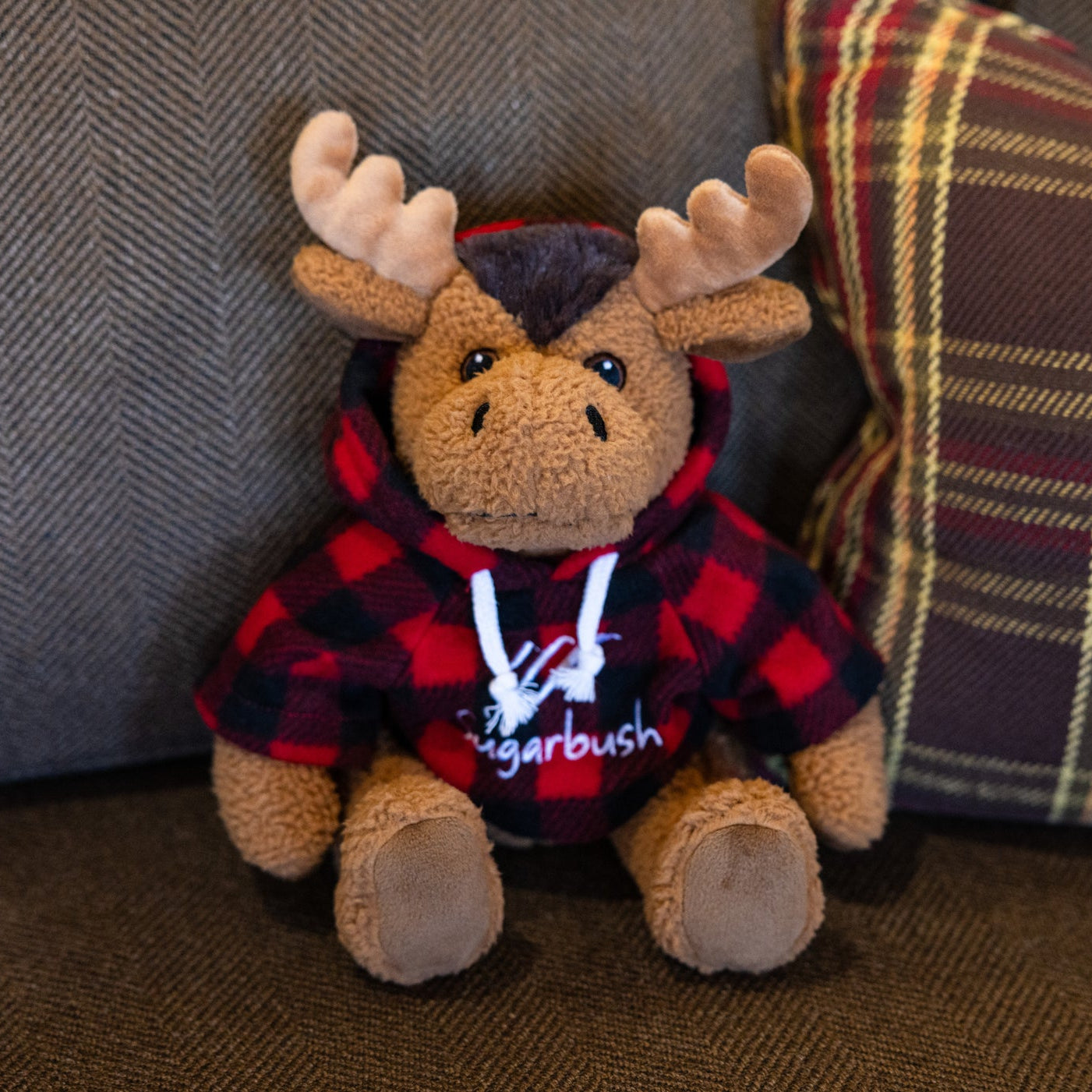 Stuffed Logo Hoody Curly Moose