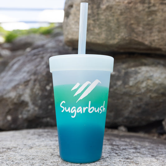 Sugarbush Silicone Straw 16 oz. Tumbler Mountain Air