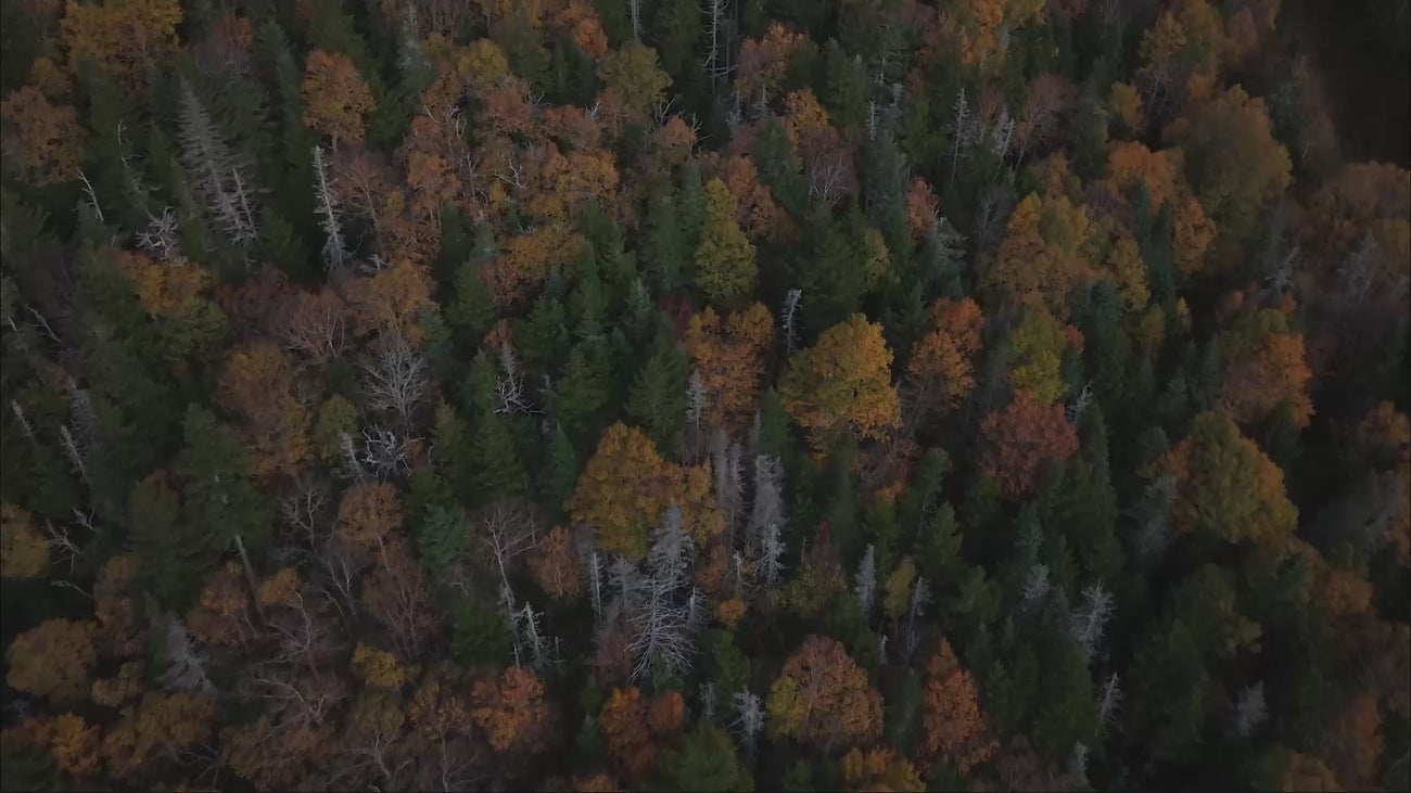 Autumn at Sugarbush